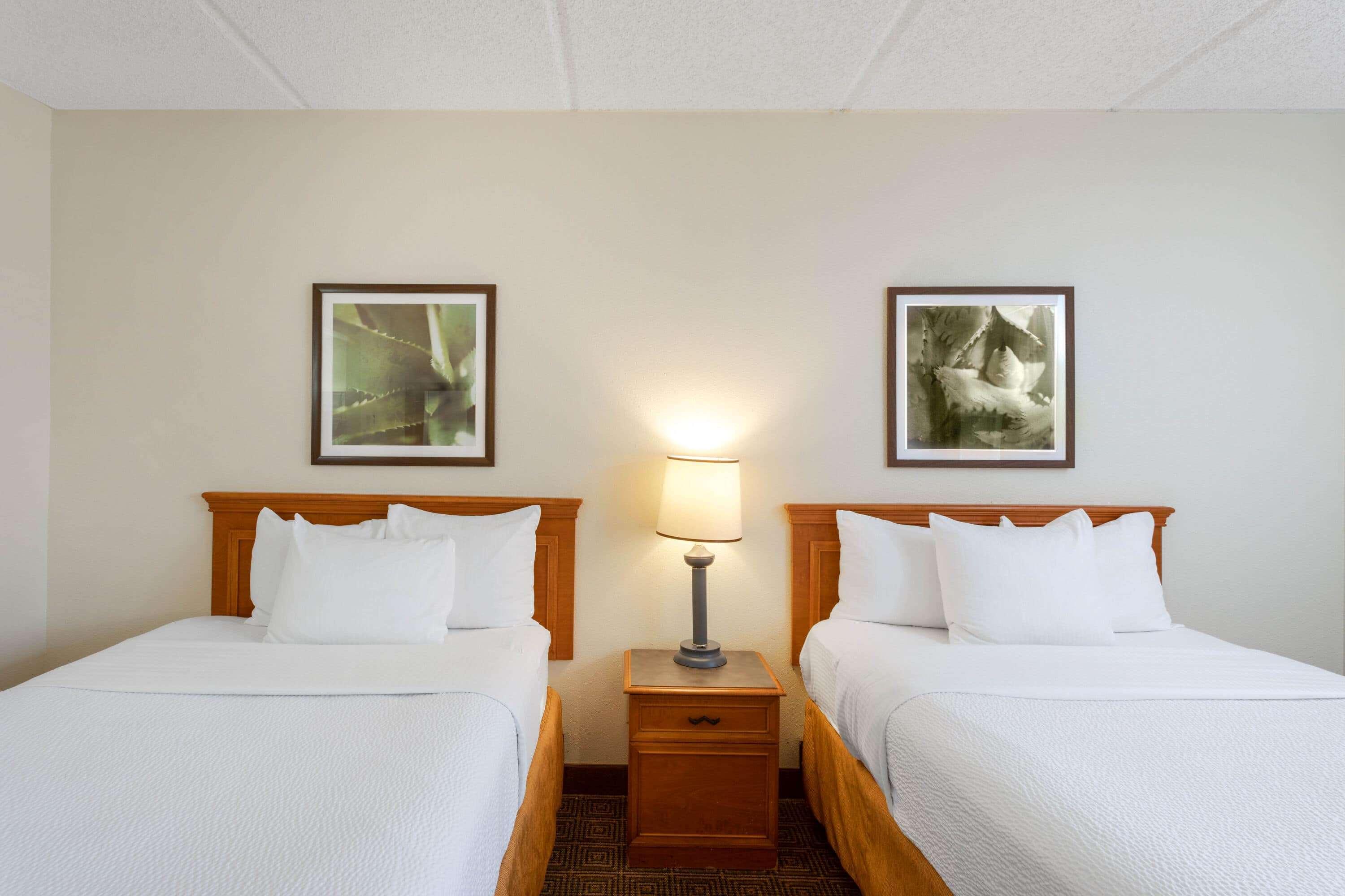 La Quinta Inn & Suites By Wyndham Jacksonville Mandarin Exteriér fotografie